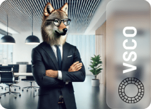 خرید اکانت VSCO